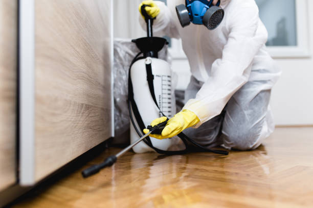 Best Residential Pest Control  in Parma Heights, OH