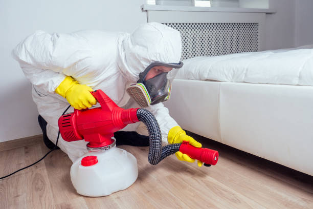 Best Pest Removal Services  in Parma Heights, OH