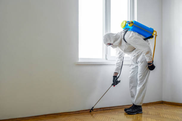 Best Pest Prevention Services  in Parma Heights, OH
