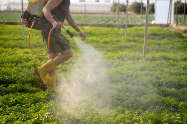 Best Pest Prevention Services  in Parma Heights, OH