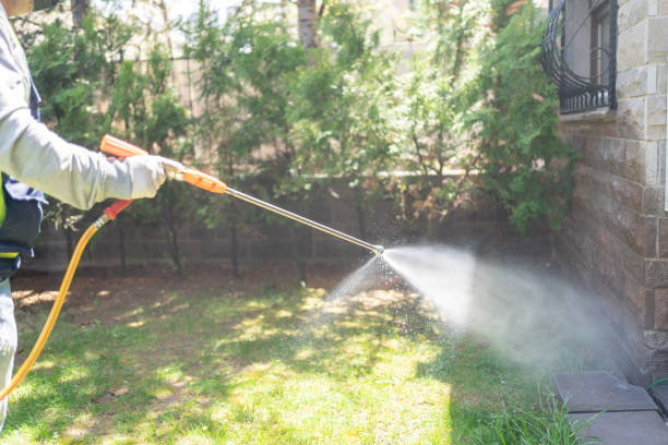 Best Affordable Pest Control Services  in Parma Heights, OH