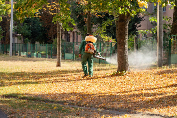 Trusted Parma Heights, OH Pest Control Experts