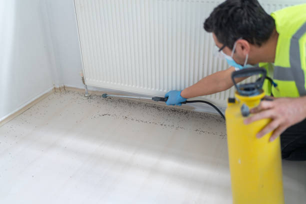 Best Mosquito Control Services  in Parma Heights, OH