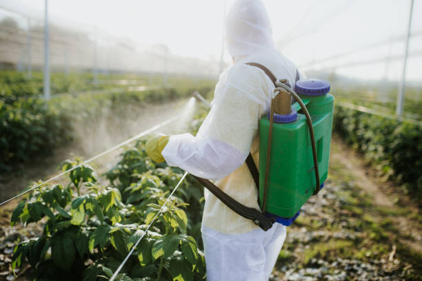 Best Wasp Removal Services  in Parma Heights, OH